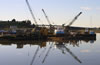 Petaluma-1