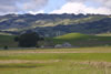 Petaluma-2