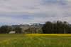 Landscape-16