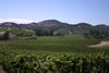 Landscape-18