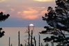 Landscape-21