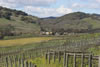 Landscape-26