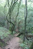 Landscape-28