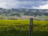 Landscape-4
