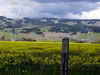 Landscape-5