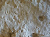 Landscape-7